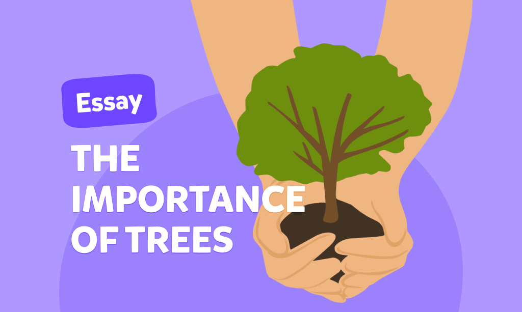 Essay „The importance of trees” - esej po angielsku dla dzieci o naturze i środowisku